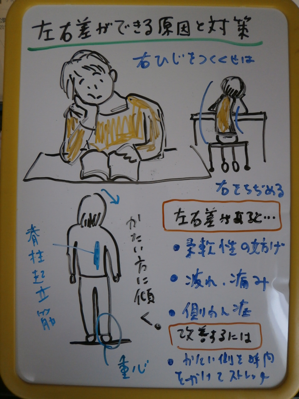 身体に左右差が出来る原因とその害 対策 整体 ツボゲッチューりらく屋 朝霞 身体に左右差が出来る原因とその害 対策 整体 ツボゲッチューりらく屋 朝霞