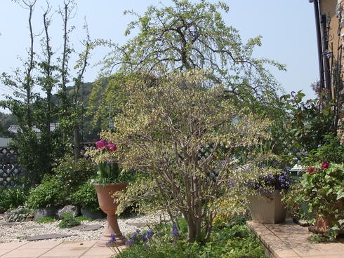 b0230589_22281431.jpg