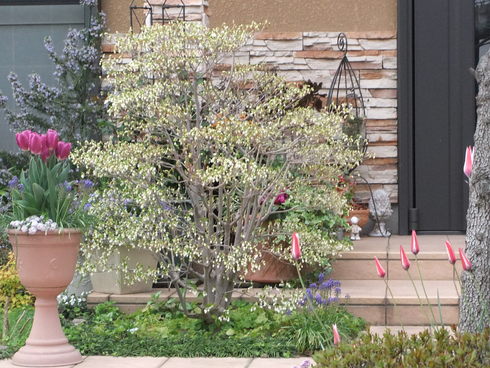 b0230589_22291258.jpg