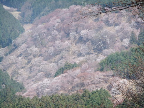 b0230589_22574172.jpg
