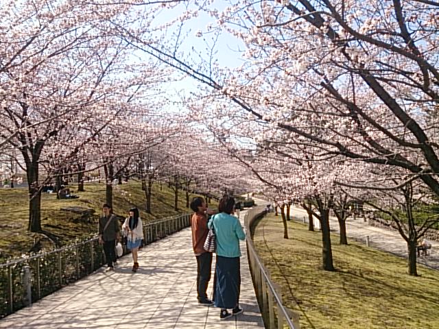取り扱いチケットのお知らせ。4月10日現在。_e0046190_16435025.jpg