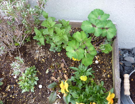 c0321294_12052246.jpg