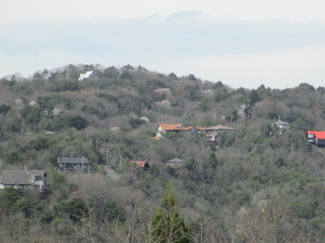 a0206695_15502555.jpg