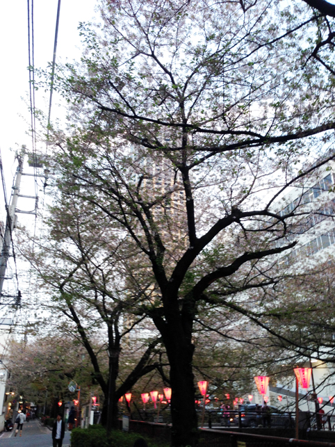e0000295_16444482.jpg