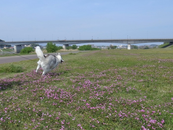 c0049299_223249100.jpg