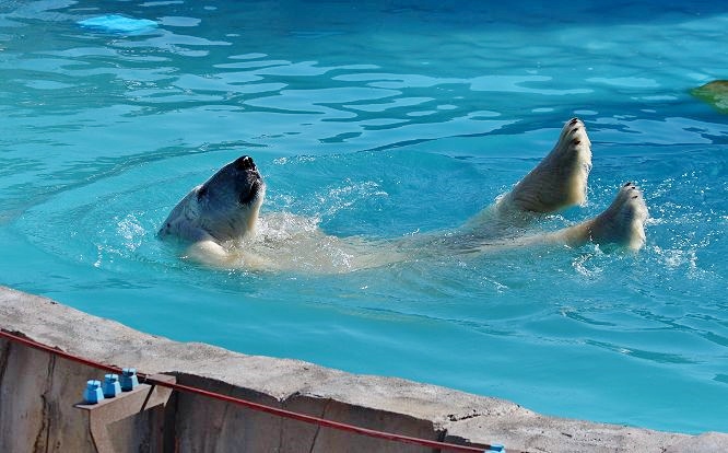 c0155902_2013156.jpg