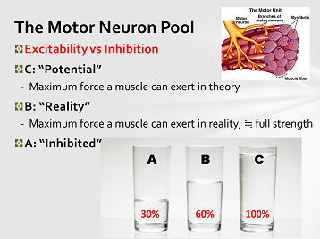 アイシングは本当に悪なのか？Disinhibitory modalityとしてのCryotherapy_b0112009_6313057.png