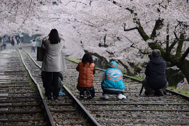 桜巡り・蹴上インクライン_f0032011_17105192.jpg