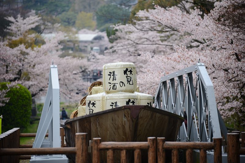 桜巡り・蹴上インクライン_f0032011_17111650.jpg