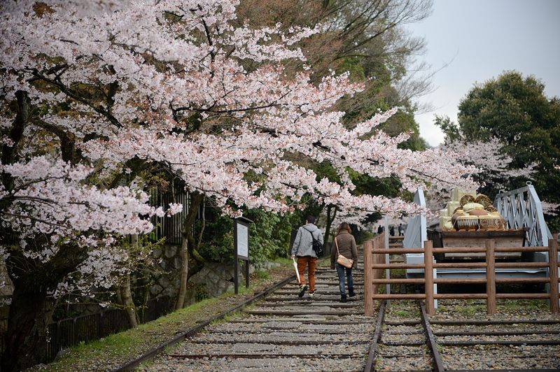 桜巡り・蹴上インクライン_f0032011_176446.jpg