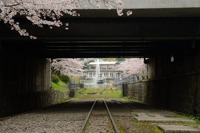 桜巡り・蹴上インクライン_f0032011_1765216.jpg
