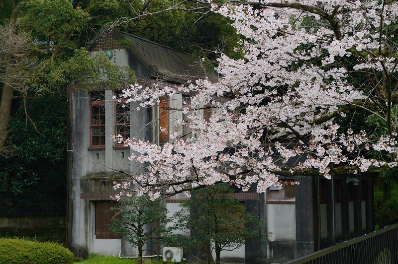 桜巡り・蹴上インクライン_f0032011_177844.jpg