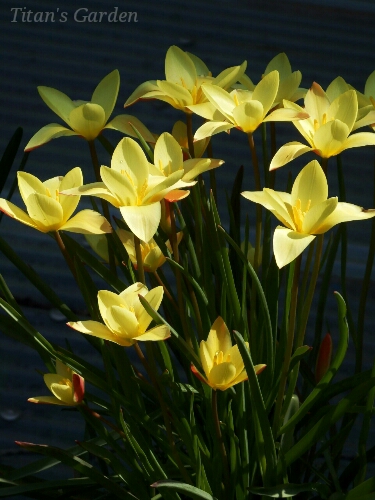 b0099813_04170.jpg