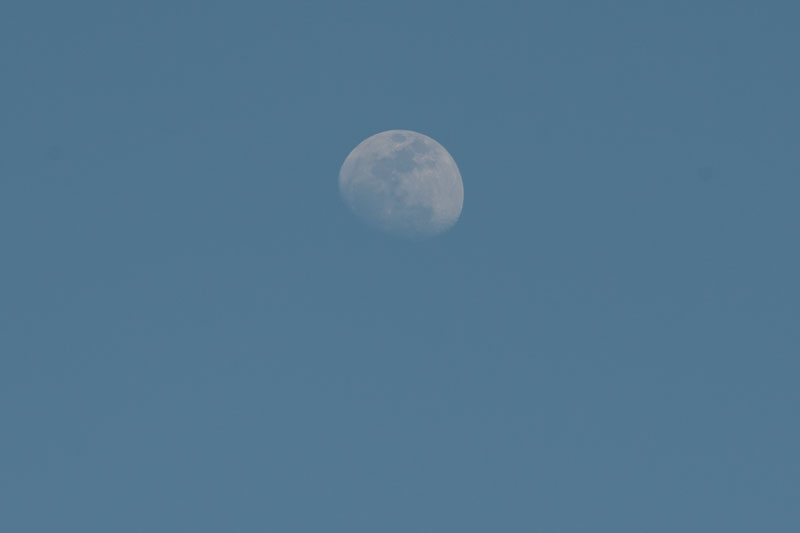 a0278914_17561614.jpg