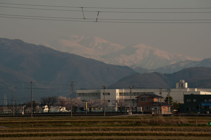 a0278914_1756433.jpg