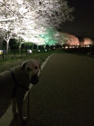 c0114121_0323567.jpg