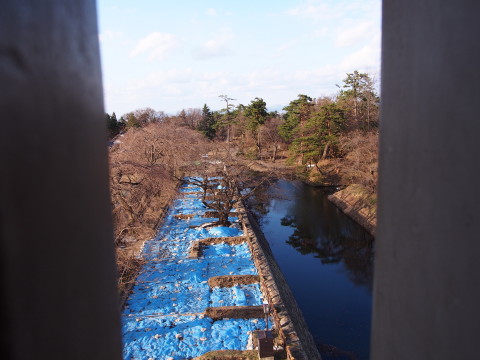 ロトウザクラとさくらまつり準備:弘前公園*2014.04.11_b0147224_221332.jpg