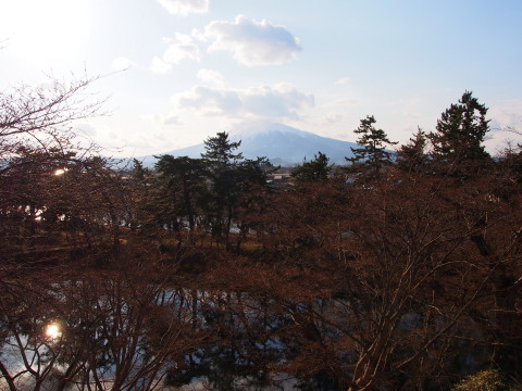 ロトウザクラとさくらまつり準備:弘前公園*2014.04.11_b0147224_22154115.jpg