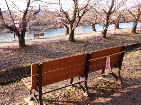 ロトウザクラとさくらまつり準備:弘前公園*2014.04.11_b0147224_22473335.jpg