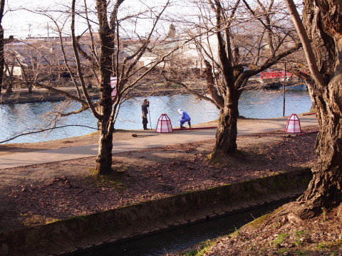 ロトウザクラとさくらまつり準備:弘前公園*2014.04.11_b0147224_22504249.jpg