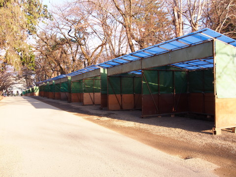 ロトウザクラとさくらまつり準備:弘前公園*2014.04.11_b0147224_2318304.jpg