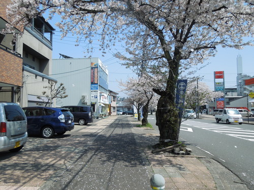 d0314924_1251159.jpg