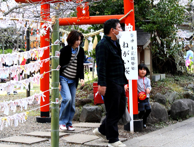 茨城県水戸市 桜まつり 桜山 護国神社 福島市渡利 9日の花見山 フォトハウス In 福島