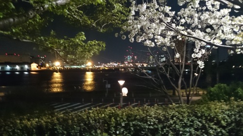a0014141_10101812.jpg
