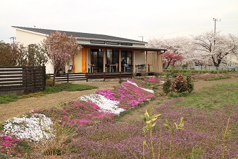 SAKURA FESTIVAL、ありがとうございました!_d0237446_12422537.jpg