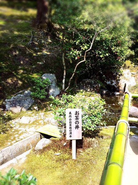 京都でお花見2014_e0292546_0341921.jpg