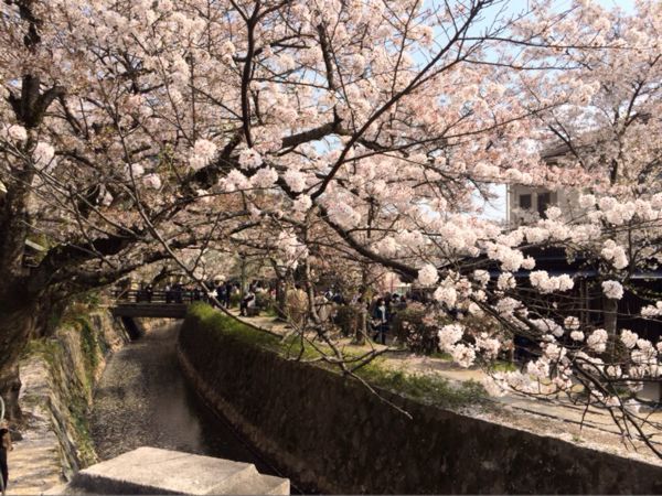 京都でお花見2014_e0292546_0342178.jpg
