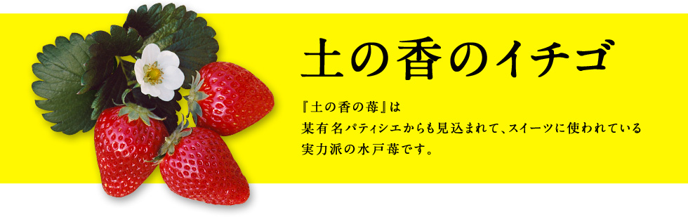 【まいわい生産者さん】ハートフルファームの八木岡さん_a0283448_14210292.jpg