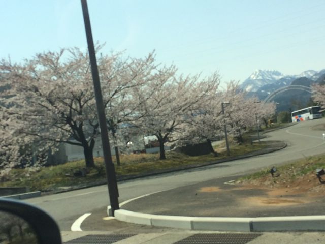 c0254151_1340363.jpg