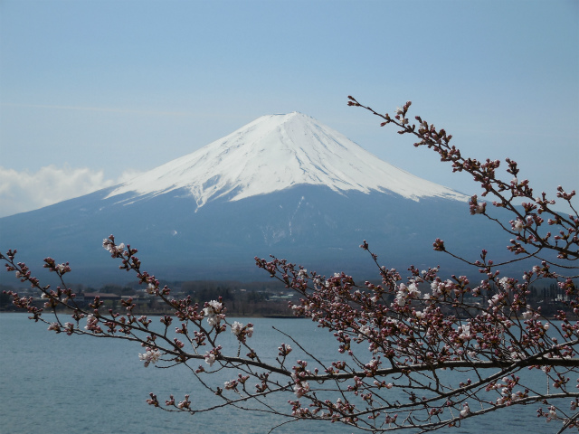 河口湖へ_b0070657_16282720.jpg