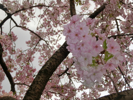 c0144260_07439.jpg