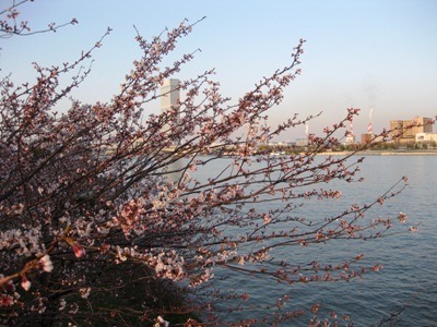c0190960_658345.jpg