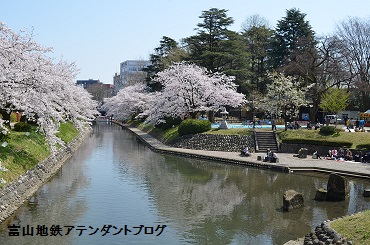 春のプレオープン_a0243562_12464383.jpg