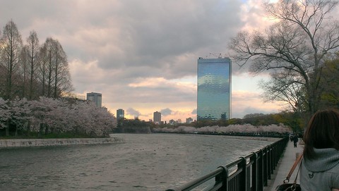 e0119166_1685290.jpg