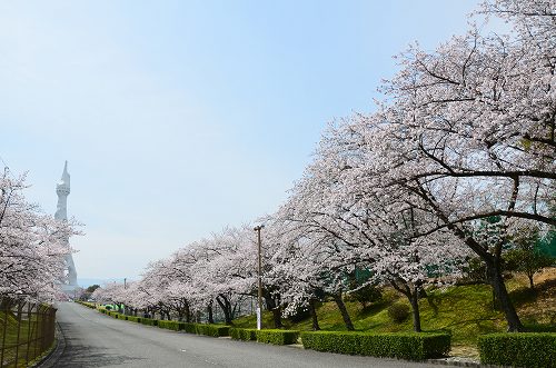 c0229483_195801.jpg