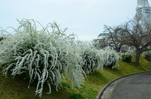 c0229483_21232350.jpg