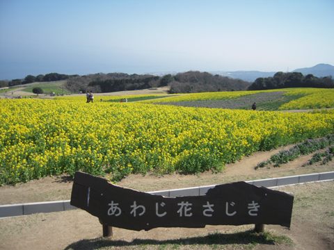 あわじ花さじき（淡路市）_d0076283_1330657.jpg