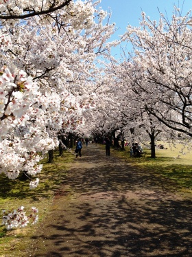 富山県中央植物園に行ってきました。2014 春_a0137789_18321624.jpg