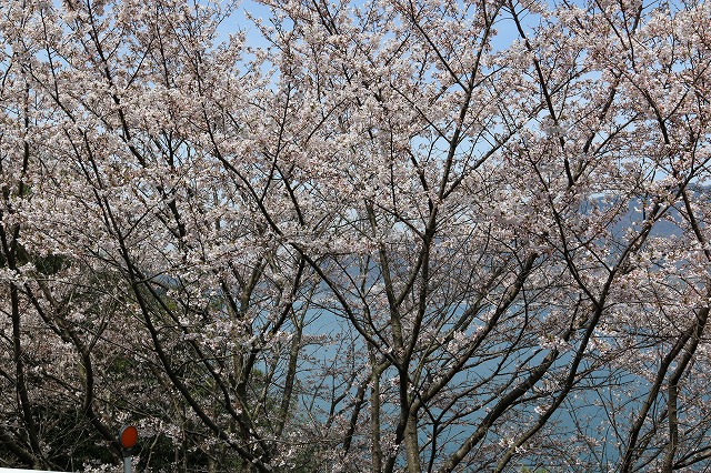 b0190092_2119389.jpg