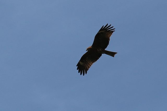 b0190092_21202636.jpg
