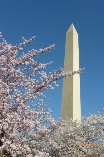 f0303797_08165548.jpg