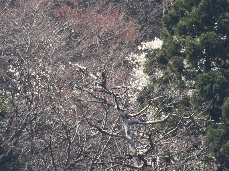 b0223198_21432495.jpg