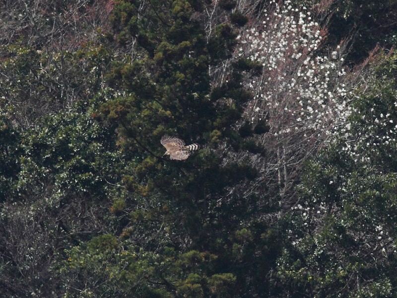 b0223198_2144413.jpg
