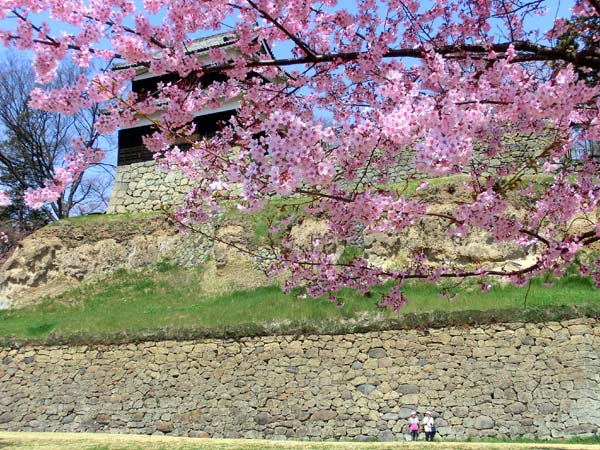 上田城跡公園の桜 四季の信濃路