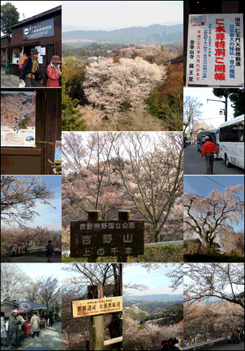 f0231709_0343260.gif