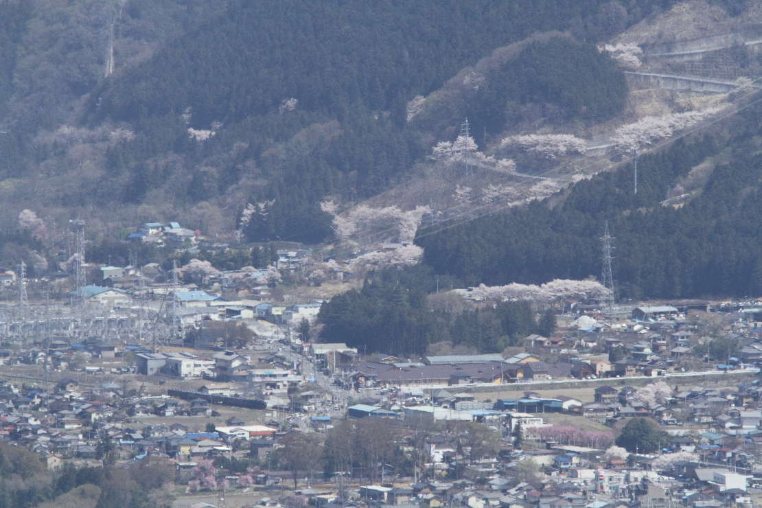 浦山ダムから武州中川まで桜を一望　- 2014年春・秩父 -  _b0190710_21301313.jpg